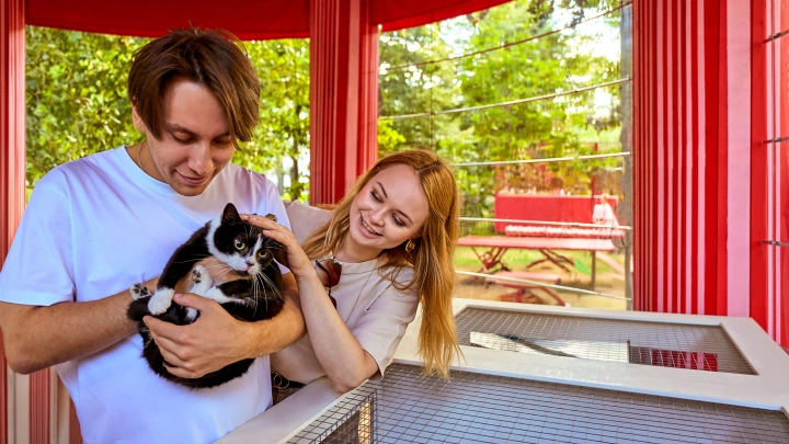 11 животных обрели дом в первый день мероприятия проекта «Моспитомец» в Москве