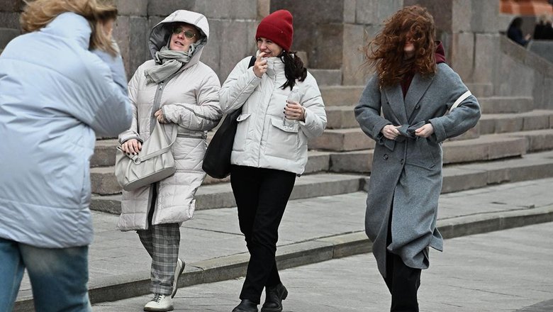 Москвичей предупредили о сильном ветре в понедельник