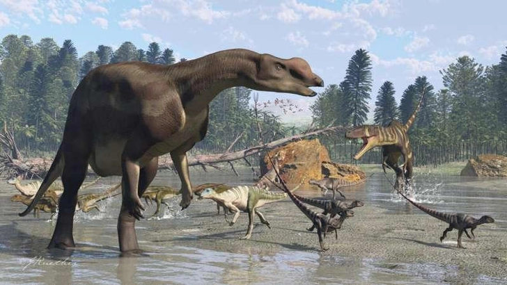 Привередливый едок с отличным обонянием: раскрыты секреты австралийского динозавра Привередливый едок с отличным обонянием: раскрыты секреты австралийского динозавра