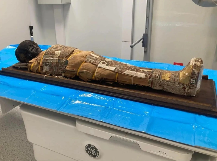 В груди 8-летнего мальчика из Древнего Египта нашли загадочный предмет. Достать не могут — рассыплется В груди 8-летнего мальчика из Древнего Египта нашли загадочный предмет. Достать не могут — рассыплется