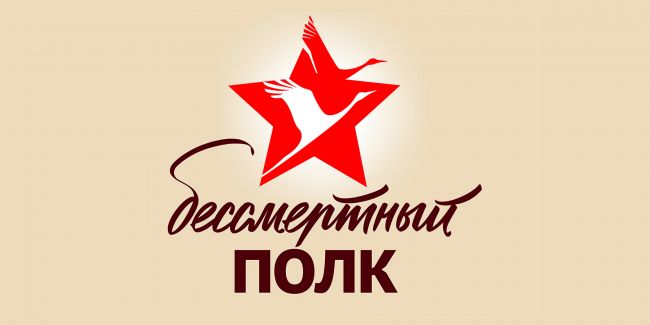 «Катюша» и флаги СССР: во Франкфурте прошел «Бессмертный полк»