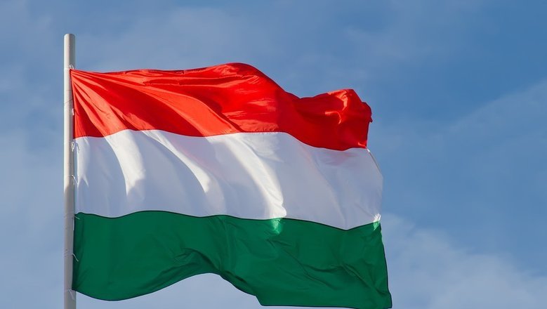 Новые подробности в деле с задержанием украинских инкассаторов в Венгрии: на что замахнулся Киев