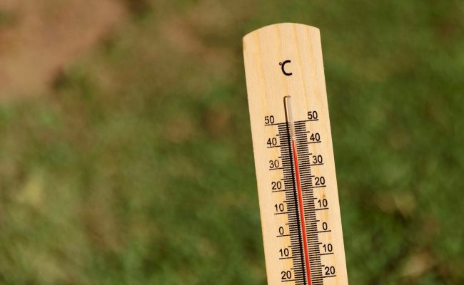 Жара во Франции убила семь человек
