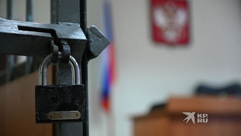 Суд продлил арест украинскому летчику Шиманскому* по обвинению в убийстве