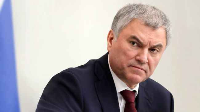 Володин озвучил статью, по которой теперь будут выдворять из России больше мигрантов