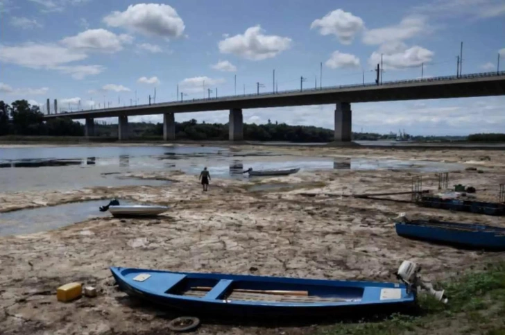 На берегу Дуная нашли останки молодого мамонта, скрытые под водой со времен ледникового периода