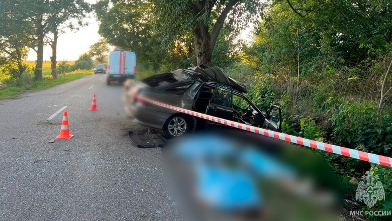 Под Калининградом машина врезалась в дерево, погибли трое