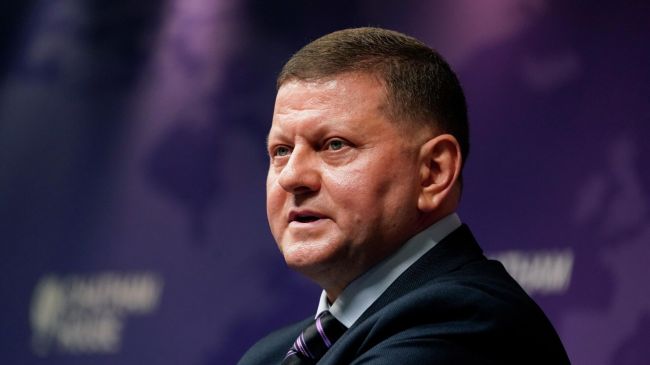 Залужного не пригласили на встречу Зеленского с главой Минобороны Великобритании