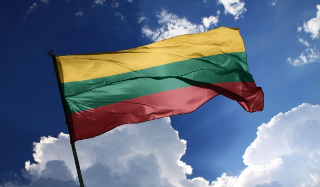 Литва выразила протест Белоруссии из-за сбитого дрона