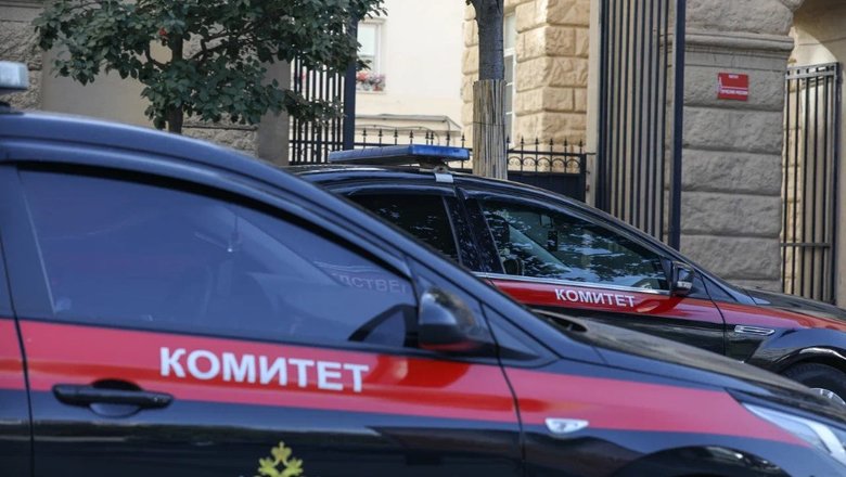 На Камчатке 62-летний мужчина избил подростка у гаражей